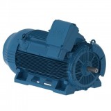W50 Low and High Voltage Motors